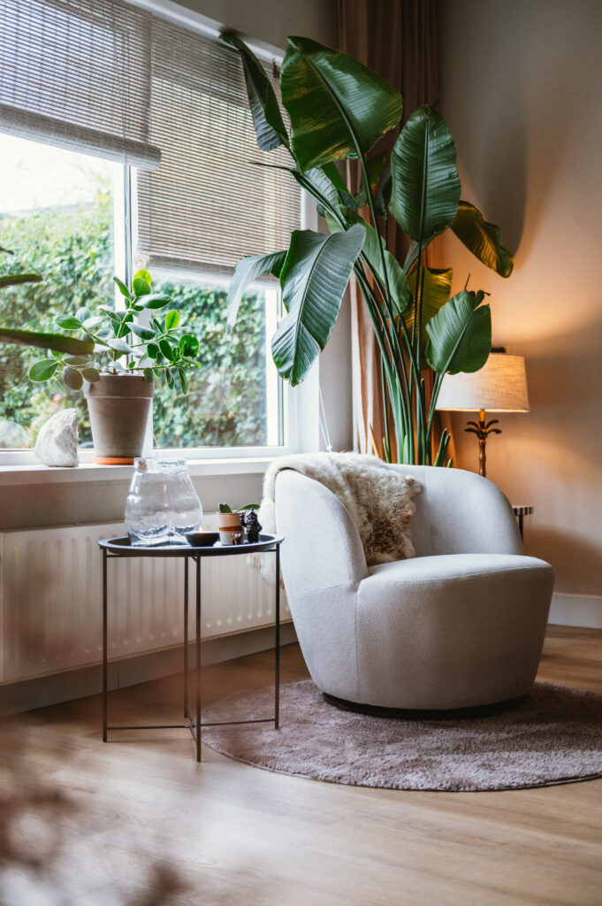 Gezellige zithoek met een comfortabele fauteuil, bijzettafeltje en veel groen.